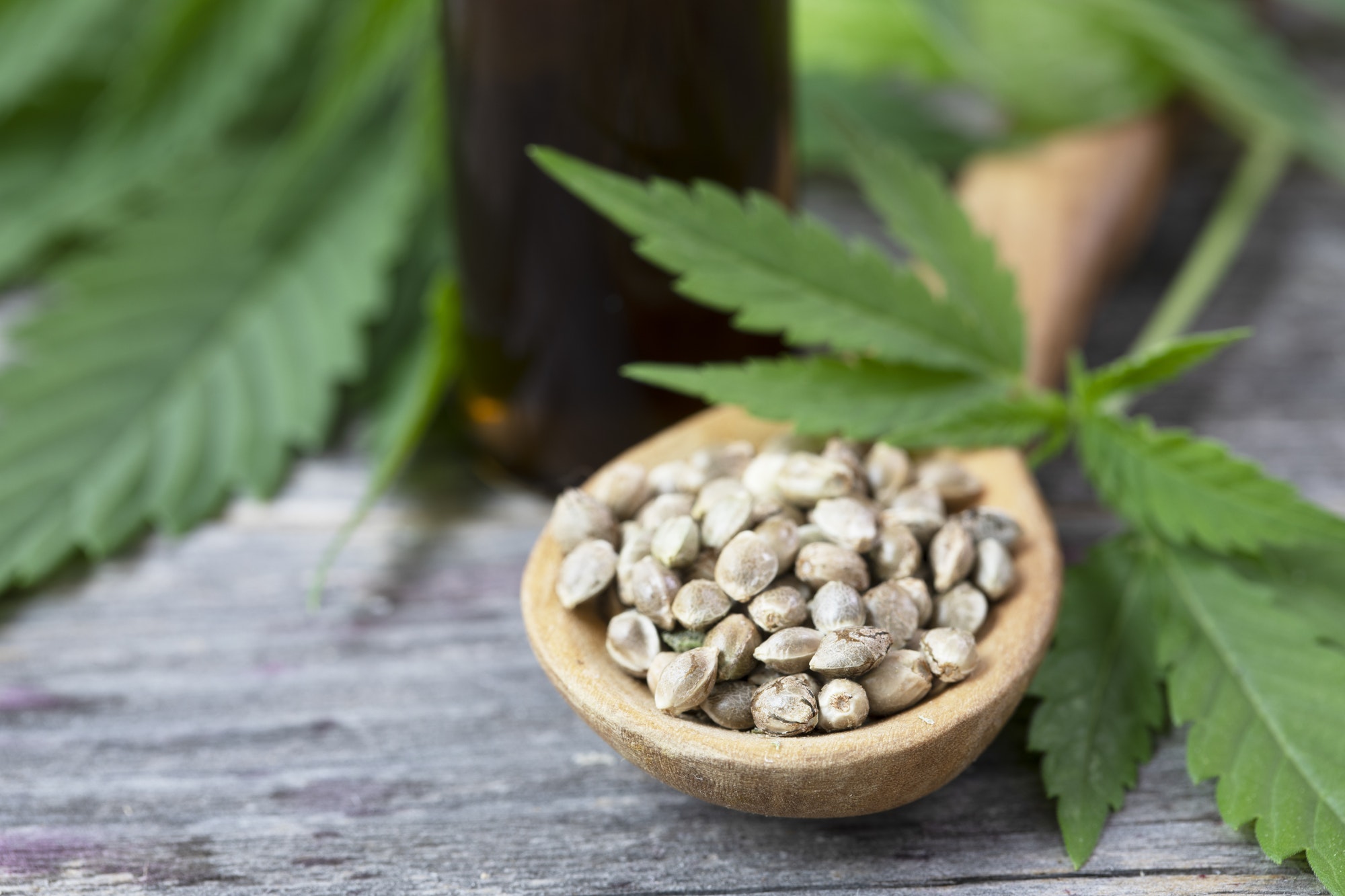 Cannabis Seeds in Spoon